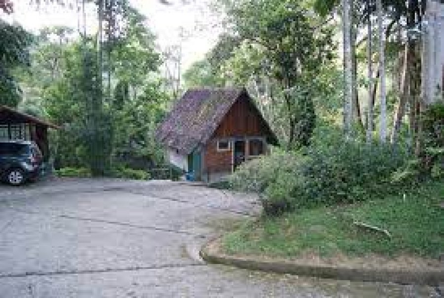 Stays in Chikmagalur with Linkup.